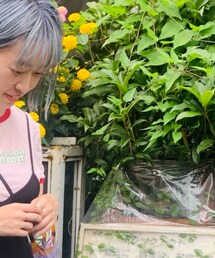 ZARA | Tシャツ/カットソー