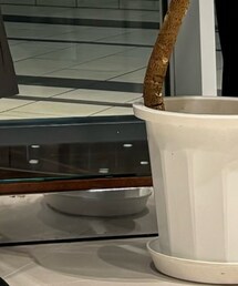 CORSO ROMA，9 | シューズ