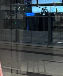 MARIHA | スカート