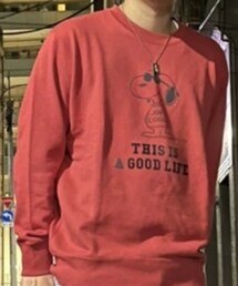 UNIQLO | スウェット