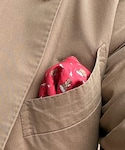 HERMES(エルメス)の「フォーマルスーツ/小物(ポケットチーフ)」