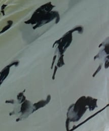 UNIQLO | ストール/ショール