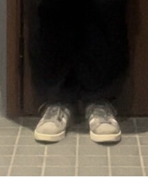 adidas | スニーカー
