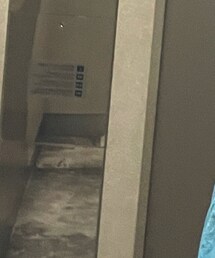 allnobrand | トップス