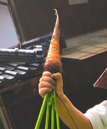 にんじん🥕 | 福袋/福箱