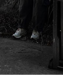 MIZUNO | スニーカー