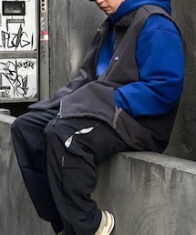THE NORTH FACE PURPLE LABEL | ベスト