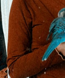 no brand | Tシャツ/カットソー