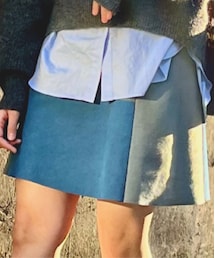 Ray BEAMS | スカート