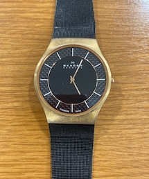SKAGEN | アナログ腕時計
