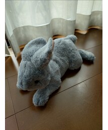 白うさぎならぬ水色うさぎさん🐰 | 雑貨/ホビー
