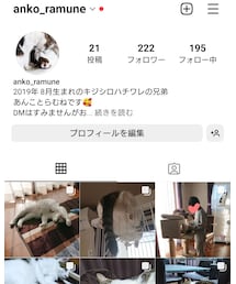 ねこすたぐらむもよろしくね❤️❤️ | ペットグッズ