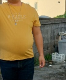 American Eagle | Tシャツ/カットソー