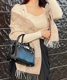 LOEWE | ストール/ショール