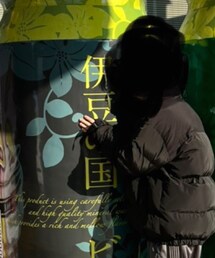 ADER error | ダウンジャケット/コート