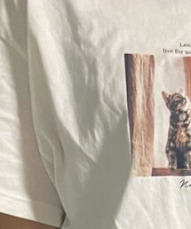 Honeys | Tシャツ/カットソー