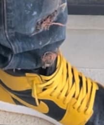 AIR JORDAN | スニーカー