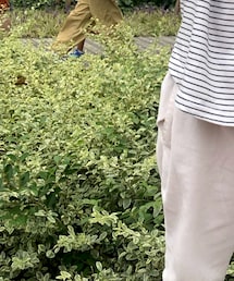 ばーちゃん手作り | パンツ