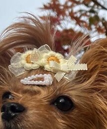 kururu | ヘアピン