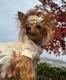 ※emu | ニット/セーター