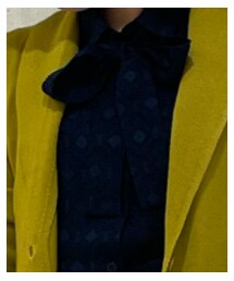 NARACAMICIE | シャツ/ブラウス