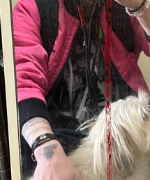 なんかのバンT | Tシャツ/カットソー