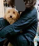 コーナン！！！！の「その他(その他)」