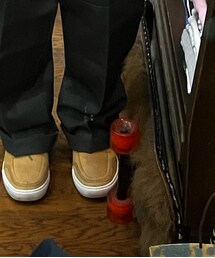 Timberland | シューズ