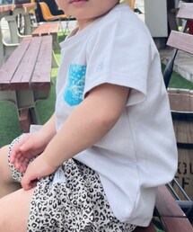 Arnold Palmer | Tシャツ/カットソー