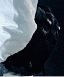 THE NORTH FACE | メッセンジャーバッグ
