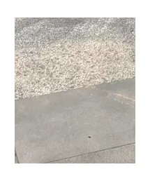 動画もどうぞ🤗 | その他