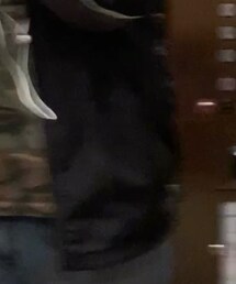 Reebok | ナイロンジャケット