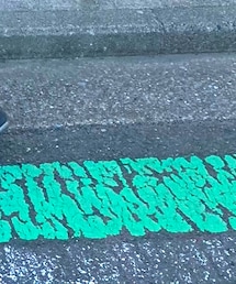 Saucony | スニーカー