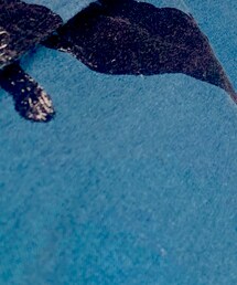 CIAO | シャツ/ブラウス