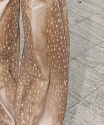 SHEIN | パンツ