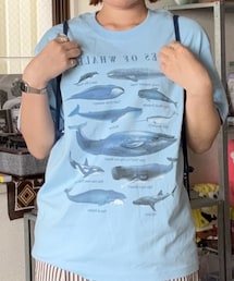 wissy | Tシャツ/カットソー