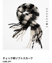 ZARA | マフラー