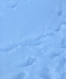 UNIQLO | その他パンツ