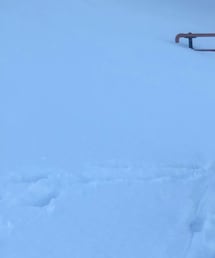 CAPTAIN STAG | ノーカラーコート