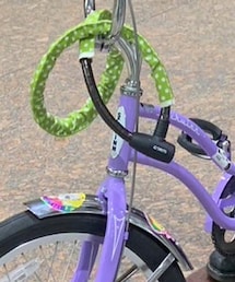 Schwinn | その他