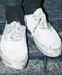 VANS | スリッポン