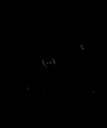 studio CLIP | カーディガン/ボレロ