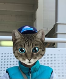 NEW ERA | キャップ