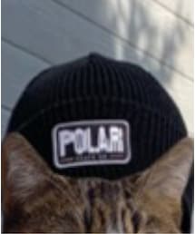 POLAR SKATE | ニットキャップ/ビーニー