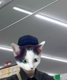 STUSSY | キャップ