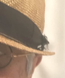 UKビンテージ | メガネ