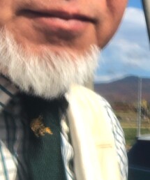 POLO RALPH LAUREN | ネクタイ