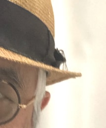 UKビンテージ | メガネ