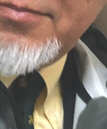 POLO RALPH LAUREN | ネクタイ