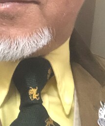 POLO RALPH LAUREN | ネクタイ